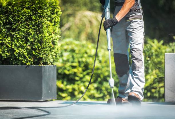 Best Restaurant Pressure Washing  in Elfers, FL