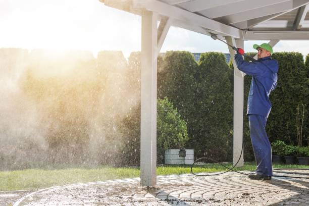  Elfers, FL Pressure Washing Pros