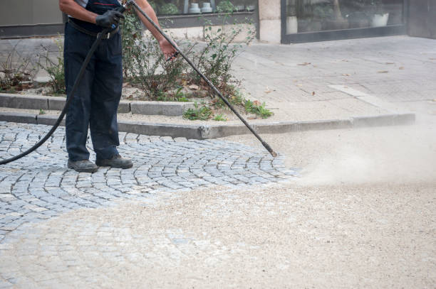 Best Patio and Deck Pressure Washing  in Elfers, FL