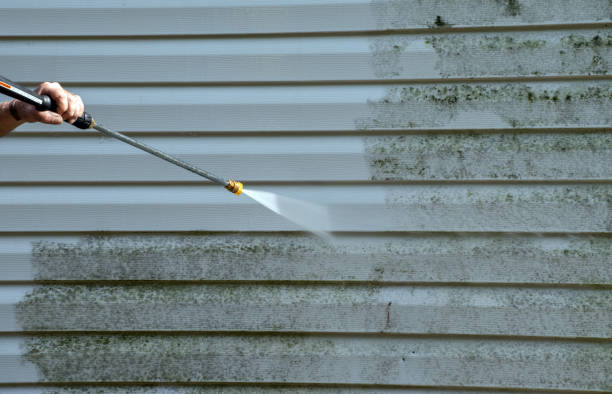 Best Dumpster Area Cleaning  in Elfers, FL