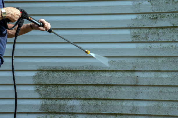 Best Sidewalk and Walkway Cleaning  in Elfers, FL
