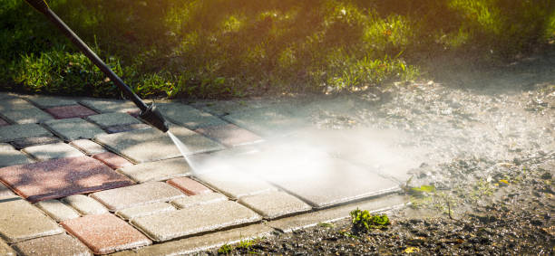 Best Spring Cleaning  in Elfers, FL